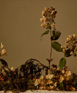 Regime Des Fleurs Falling Trees - Eau De Parfum Home Living