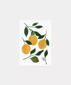 Day Dreamer Home Living Lemons Note Card